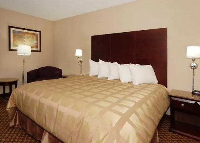 Quality & Hotel