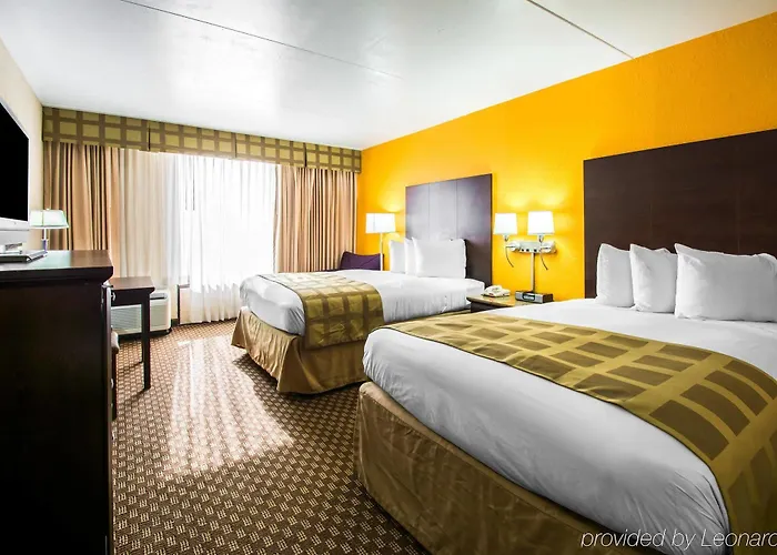 Quality & Hotel