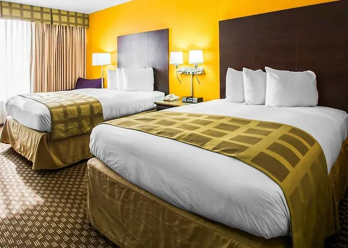 Quality & Hotel