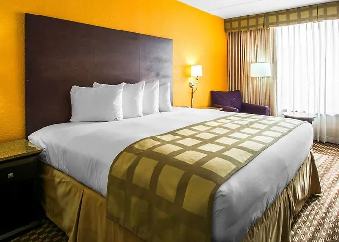 Hotel Quality & 3*
