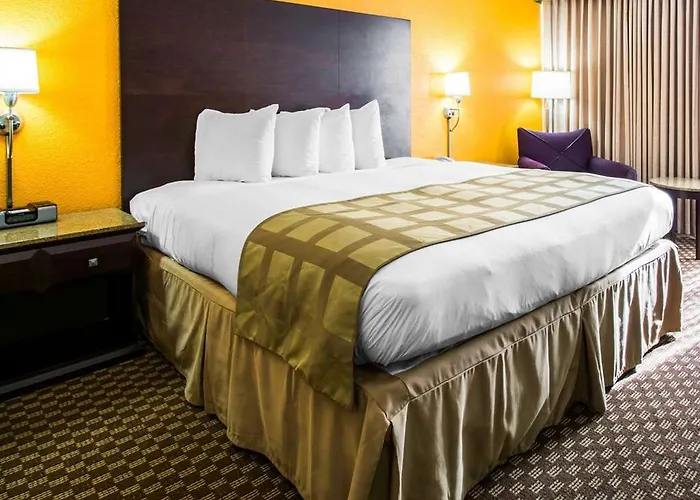 Quality & Hotel